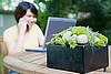 Feng Shui Telephone/E-mail Consultation